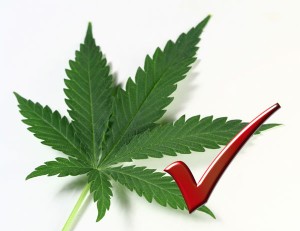 5 Good Reasons To Legalize Marijuana