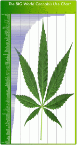 World Chart of Cannabis Use