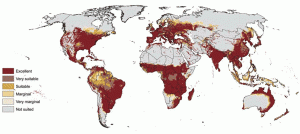 Where in the world can I grow weed?