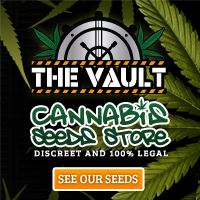 The Vault Cannabis Seeds for the UK