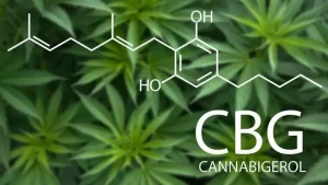 Exploring the Potential of Cannabigerol (CBG): A Comprehensive Overview