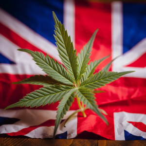 leaf flag